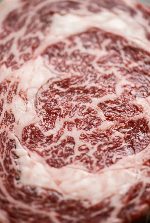 Viande persillée en gros plan